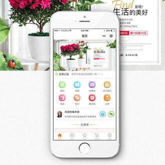 南吕镇门店微商城小程序开发