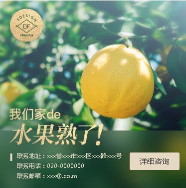 南吕镇果园果林小程序开发